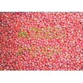 Exportation Nouvelle culture chinoise Bonne qualité Haricots rouges